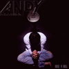 Andy Brings - Rock'n'Roll