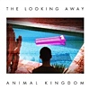 Animal Kingdom - The Looking Away
