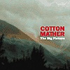 Cotton Maher - The Big Picture