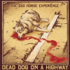 The Dad Horse Experience - Dead Dog On A Highway