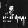 Damien Dempsey - Seize The Day