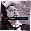 David Fonseca - Between Waves