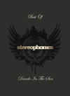 Stereophonics - Decade In The Sun - Best Of