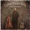 Glen Campbell - Ghost In The Canvas