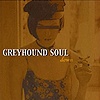 Greyhound Soul - Down