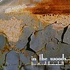 In The Woods - Live At The Caldonienhall
