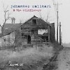 Johannes Wallmark & The Wildflowers - Akron OH