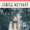 Jnius Meyvant - Across The Borders