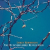 Lesley Kernochan - The Hummingbird Revolution