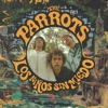 The Parrots - Los Ninos Sin Miedo