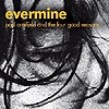 Paul Armfield - Evermine
