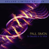 Paul Simon - So Beautiful Or So What