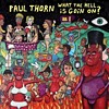 Paul Thorn - What The Hell Is Goin On?