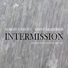 Robert Forster & Grant McLennan - Intermission - The Best Of Solo Recordings 1990-1997