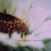 Robin Guthrie - Sunflower Stories