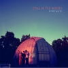 Still In The Woods - Flying Waves