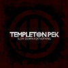 Templeton Pek - Slow Down For Nothing
