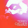 Terry Callier - Speak Your Place