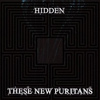 These New Puritans - Hidden