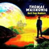 Thomas Wassknig - Back From Nowhere