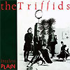 The Triffids - Black Swan / Treeless Plain / Beautiful Waste And Other Songs