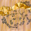 Tunng - Comments Of The Inner Chorus