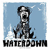 Waterdown - Into The Flames