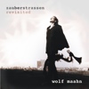 Wolf Maahn - Zauberstraen Revisited