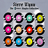 Steve Wynn - The Emusic Singles Collection