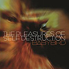 Babybird - The Pleasure Of Self Destruction