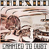 Calexico - Carried To Dust