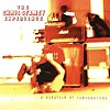 The Chris Stamey Experience - A Question Of Temperature