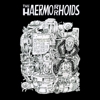 The Haermorrhoids - Apparatus Of The Ultimate Power