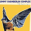 Jimmy Chamberlin Complex - Life Begins Again