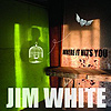 Jim White - Where It Hits You