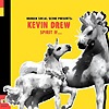 Kevin Drew - Spirit If...