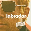 Labrador - Instamatic Lovelife
