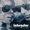 Labrador - Talk Of This Town