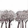 The Ladybug Transistor - Here Comes The Rain