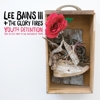 Lee Bains III & The Glory Fires - Youth Detention