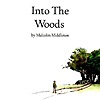 Malcolm Middleton - Into The Woods