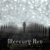 Mercury Rev - The Light In You