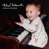 Michael Brinkworth - Wasted Wonder
