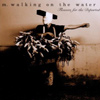 M. Walking On The Water - Flowers For The Departed