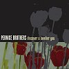 Pernice Brothers - Discover A Lovelier You