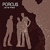 Porous