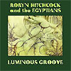 Robyn Hitchcock And The Egyptians - Luminous Groove (Boxset)