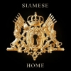 Siamese - Home