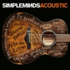 Simple Minds - Acoustic