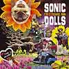 Sonic Dolls - I'm A Flower, Too